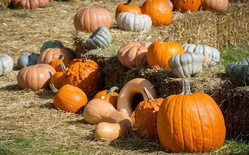 网红吃瓜群众黄料图片,揭秘网红吃瓜群众黄料图片背后的故事